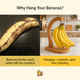 Bamboo Banana Hanger – Wooden Fruit Holder Stand with Stainless Steel Hook, Countertop Organizer