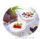 Plastic Yogurt Maker Container w/ Spoon