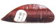 Tree Skin Tea Scoop Spoon