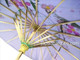 Lavender Oriental Parasol – 32" Handmade Asian Umbrella for Dance, Wedding & Decoration Lavender Oriental Parasol – 32" Handmade Asian Umbrella for Dance, Wedding & Decoration