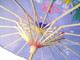 Blue Transparent Chinese Parasol 22in