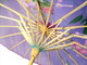 Lavender Transparent Japanese Parasol 30in