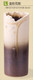 Japanese Pottery Ikebana Shigaraki Flower Vase #L
