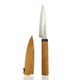 High Carbon Stainless Steel Paring Fruit Knife – 4", Japan