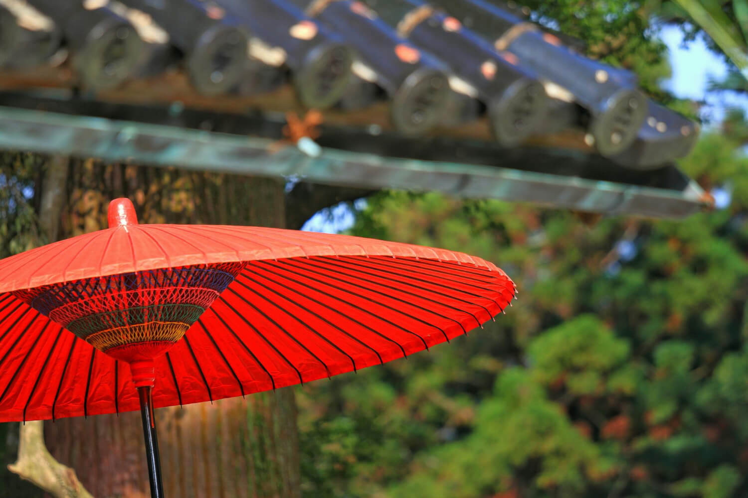 Japanbargain Parasols Japanese style umbrella