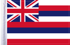 FLG-HI Hawaii Flag 6x9