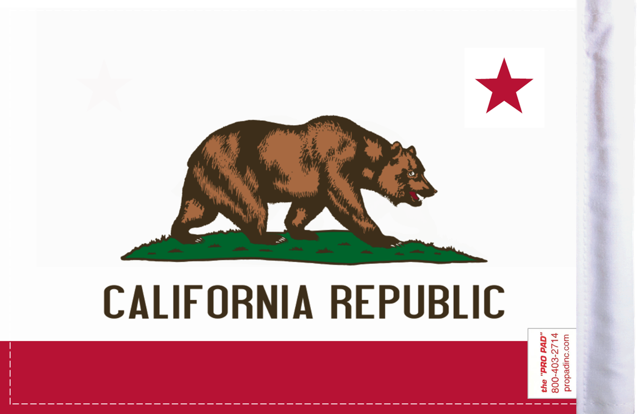 FLG-CAL California Flag 6x9 (BACK)