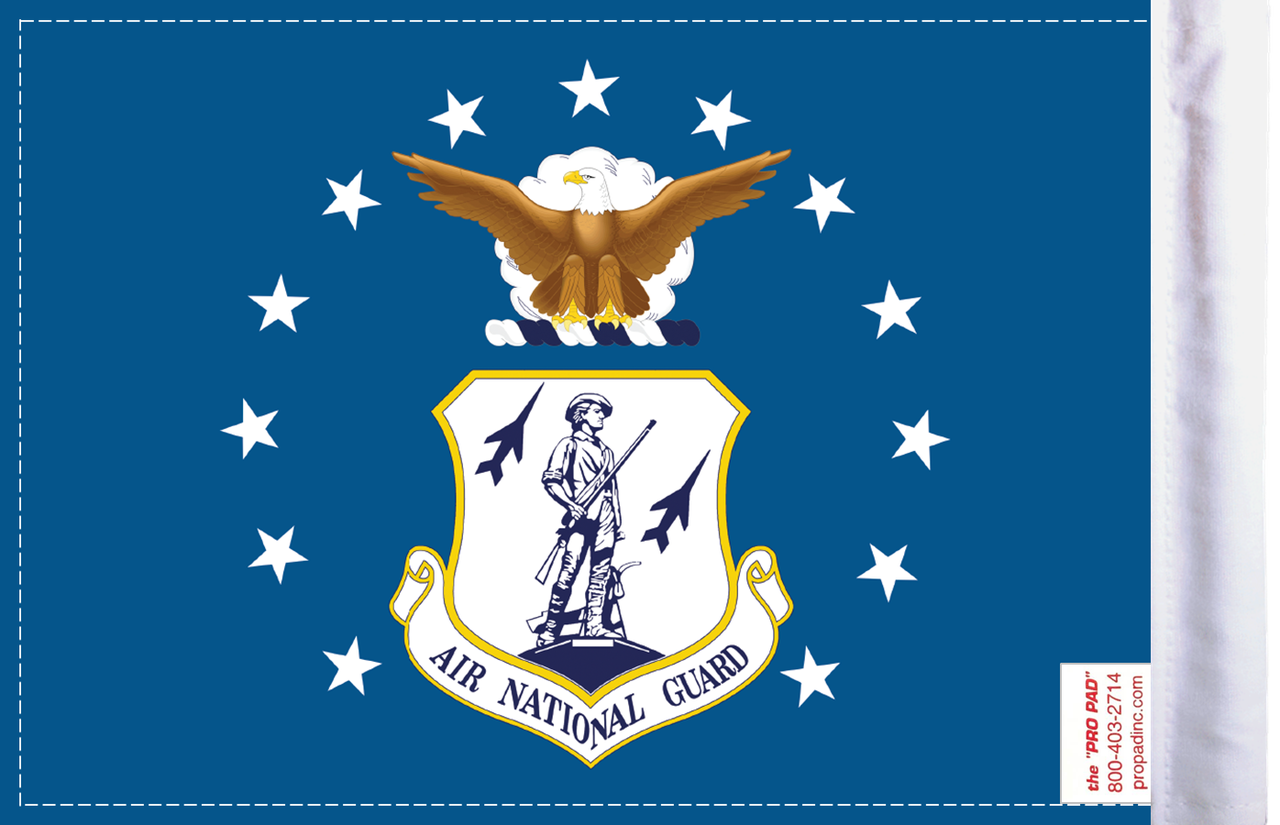 FLG-ARNTGD  Air National Guard 6x9 flag (BACK)