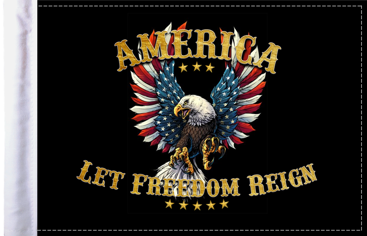 FLG-ALFR  America Let Freedom Reign flag 6x9