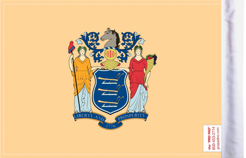 FLG-NJ  New Jersey Flag 6x9 (BACK)