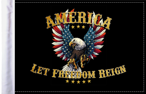 FLG-ALFR  America Let Freedom Reign flag 6x9