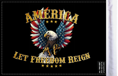 FLG-ALFR  America Let Freedom Reign flag 6x9 (BACK)