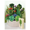 FreshCut Paper™ Cactus Garden 3D Pop-up Bouquet