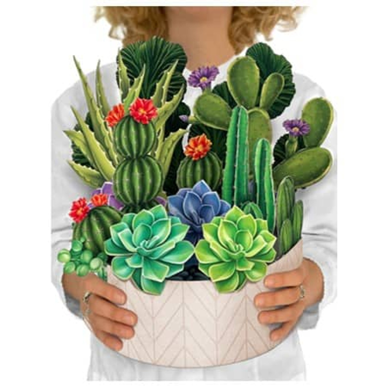 3d Cactus bouquet, Cactus Garden