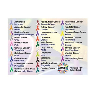 Stronger Than Cancer Wristband Bracelet