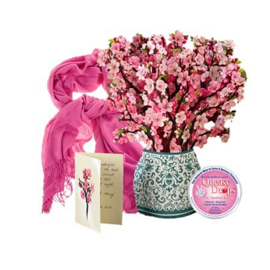 Cancer Flowers Care Package