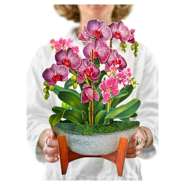 FreshCut Flowers Orchid Oasis Pop-Up Bouquet