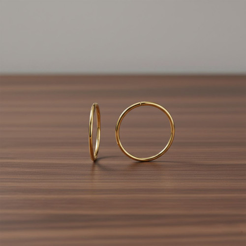 9ct Yellow Gold Hinged Sleeper Hoop Earrings | 15mm | 10-05-428
