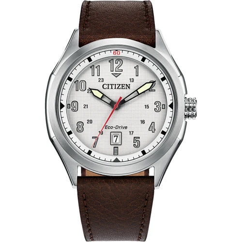 Citizen Terra Force Watch | 41mm | Eco Drive | Silver