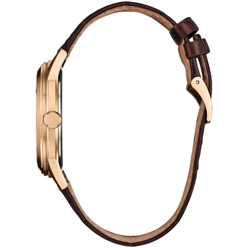Citizen Rolan Watch | 41mm | Eco Drive | Brown