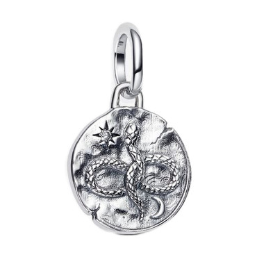 Pandora Infinity Snake Medallion Charm Silver 793976C01