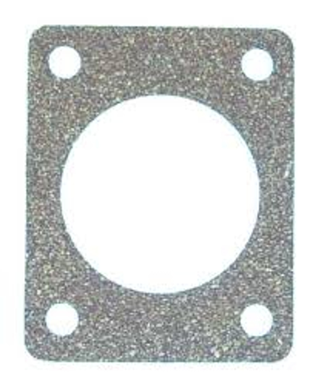 Gasket, Pump Outlet 009934-1