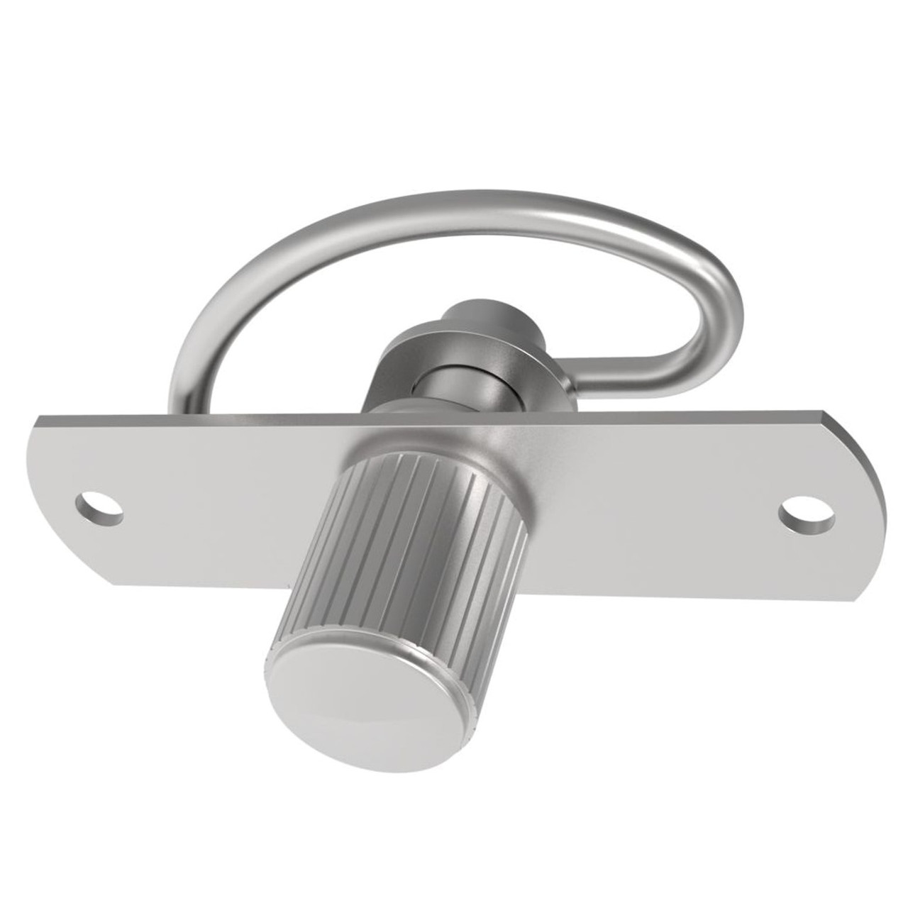 AM Manufacturing Door Latch 646CA1