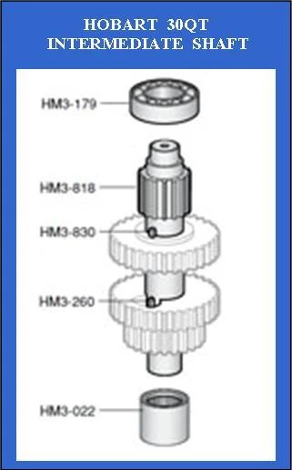 Hobart 30Qt Intermediate Shaft Lower Needle Bearing BN-002-02