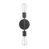 Hampton Bay Stockport 2-Light Matte Black Wall Sconce