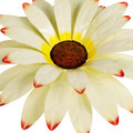 12" Metal Flower Wall Decor, Wall Art Sculpture, Metal Daisy Indoor/Outdoor
