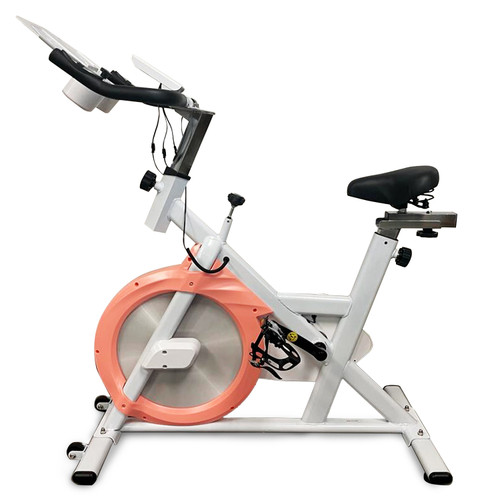 Alta Folding Exercise Spin Bike Compact Foldable Stationary Bike Magnetic Resistance Control W/ Twister Plate, Arm Resistance Bands, Extra Large Adjustable Seat and Heart Monitor Perfect Home Exercise