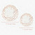 125 PCS Disposable Rose Gold Plates Dinnerware All Occasions Party 25 Guest Set