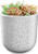 Ceramic Modern Home Gardening Plant Flower Planter Pots 5.75" with Drainage Hole