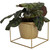 Metal Square 6" Home Garden Flower Plant Holder Removable Pot Stand, Gold 2 Pack