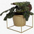 Metal Square 6" Home Garden Flower Plant Holder Removable Pot Stand, Gold 2 Pack