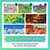 Super Mario Party Jamboree for Nintendo Switch (US Version)