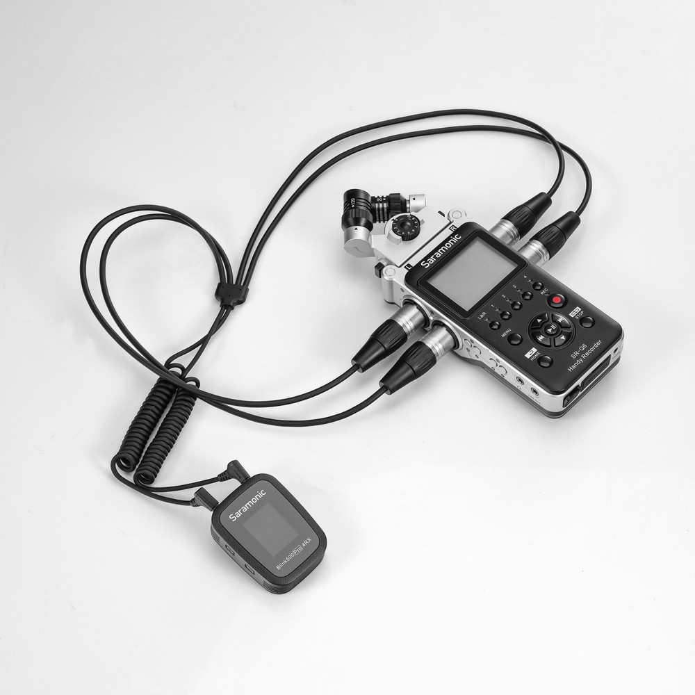 Dual TRS to 4x XLR Adapter | Saramonic