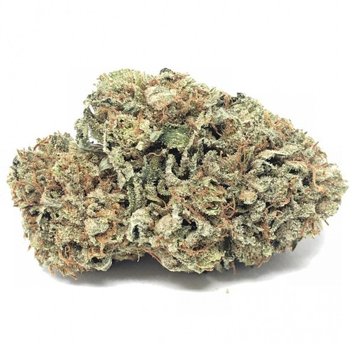 Black Tuna_Hybrid
