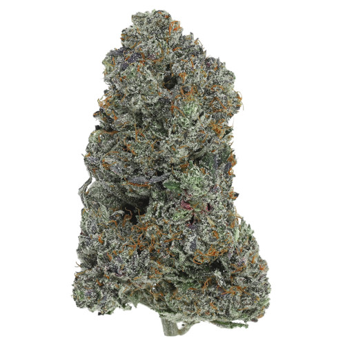 Cucci Pink_Indica-Bundle