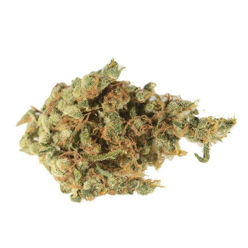 Money Pug_Sativa