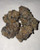 Blue Cookies_Indica