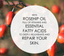 Refining Hand and Decolletage Cream