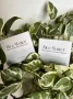 Rice Water Hair Shampoo & Conditioner Combo