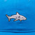 Coral Blue RTS Shark Hat
