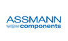 Assmann Electronics