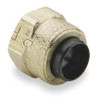Air Line  Connector Cap ¼ Inch