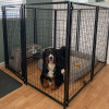 Expandable Heavy Duty Dog Kennel and Playpen - 8 Panel - 5 x 5 x 4 Feet