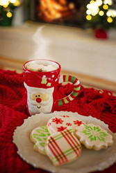 End of the Year Craziness (and Merry Christmas!)