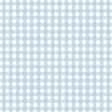 Winter: Winter Gingham 12x12 Patterned Paper