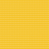 Animal Kingdom: Paradise Palms 12x12 Patterned Paper